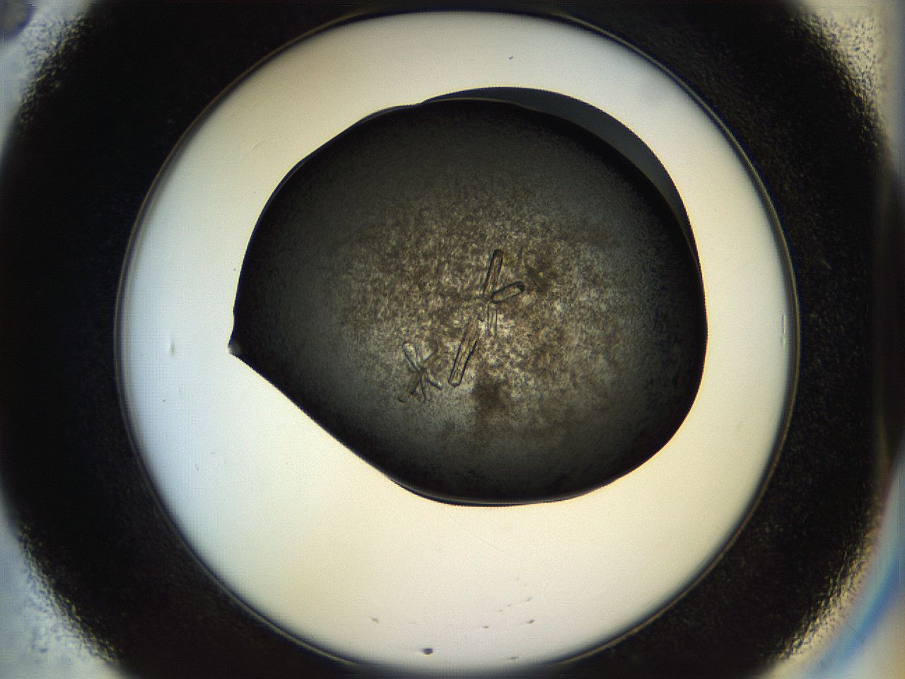 057a_B8_ImagerDefaults_7.jpg