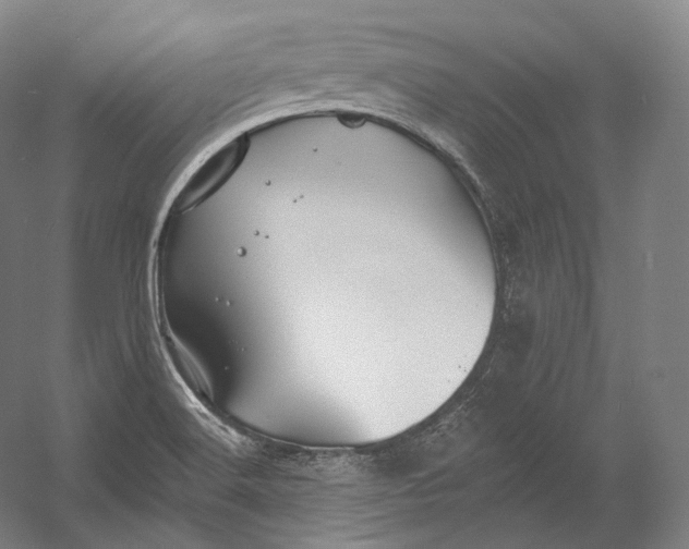 X0000055211516200508301308.png