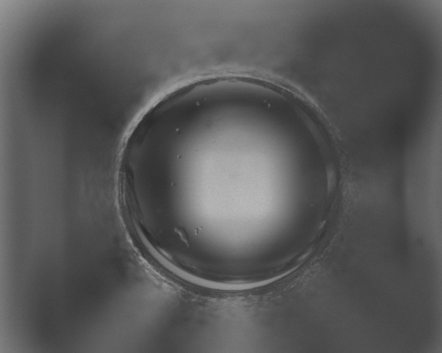 X0000051541512200506281725.png