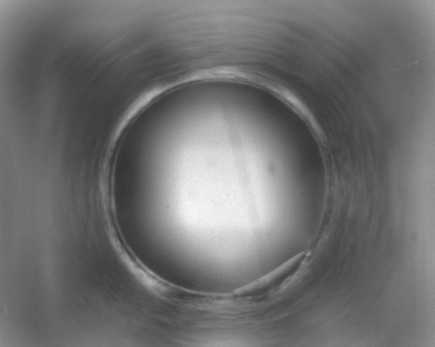 X0000054331054200508111914.png