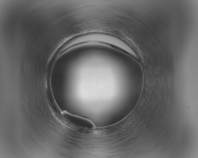 X0000055210060200508301332.png