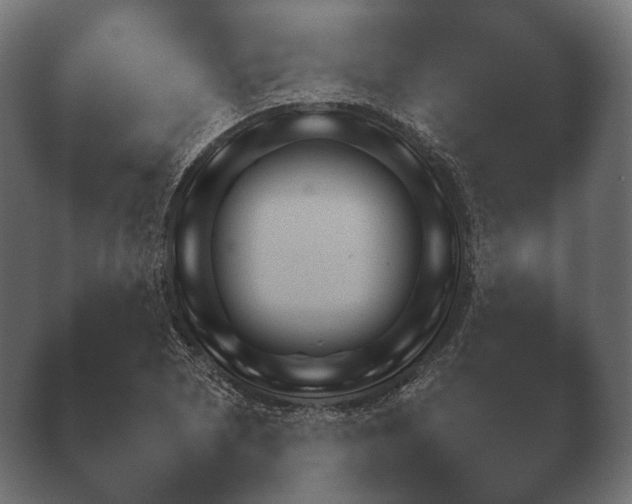 X0000040041073200410070839.png