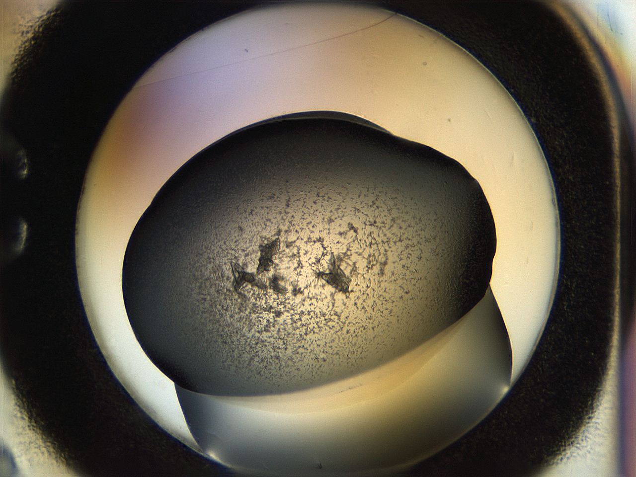 057b_C2_ImagerDefaults_7.jpg