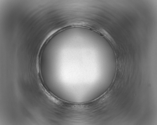 X0000054331036200508111914.png