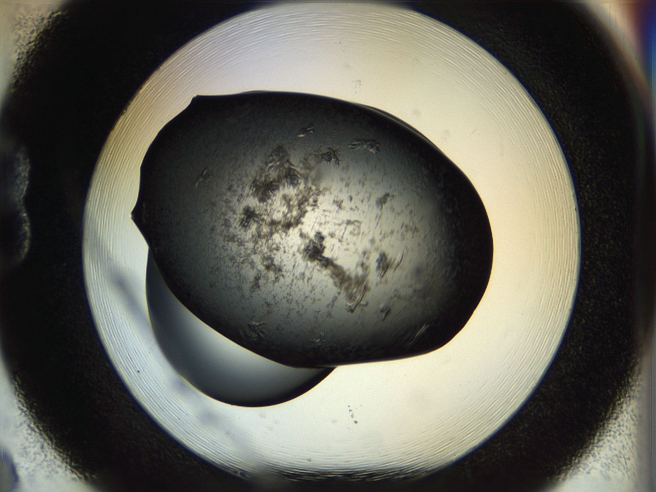 057b_B8_ImagerDefaults_7.jpg