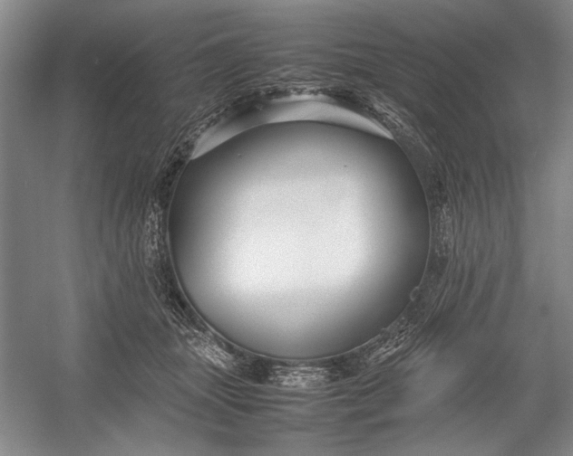 X0000055060463200508161650.png