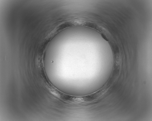 X0000054330409200508111924.png