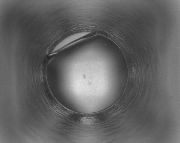 X0000055210508200508301325.png