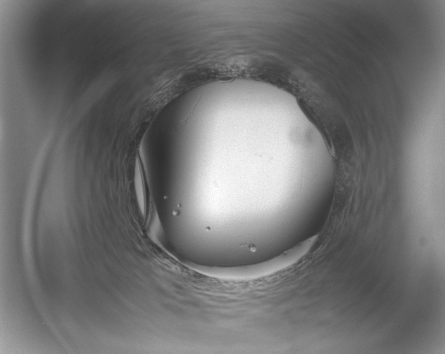 X0000055060037200508161657.png