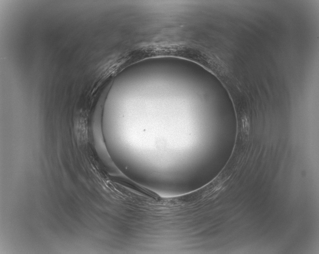 X0000055061300200508161635.png