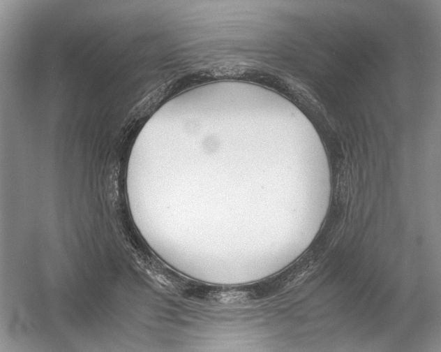 X0000054270501200508261920.png