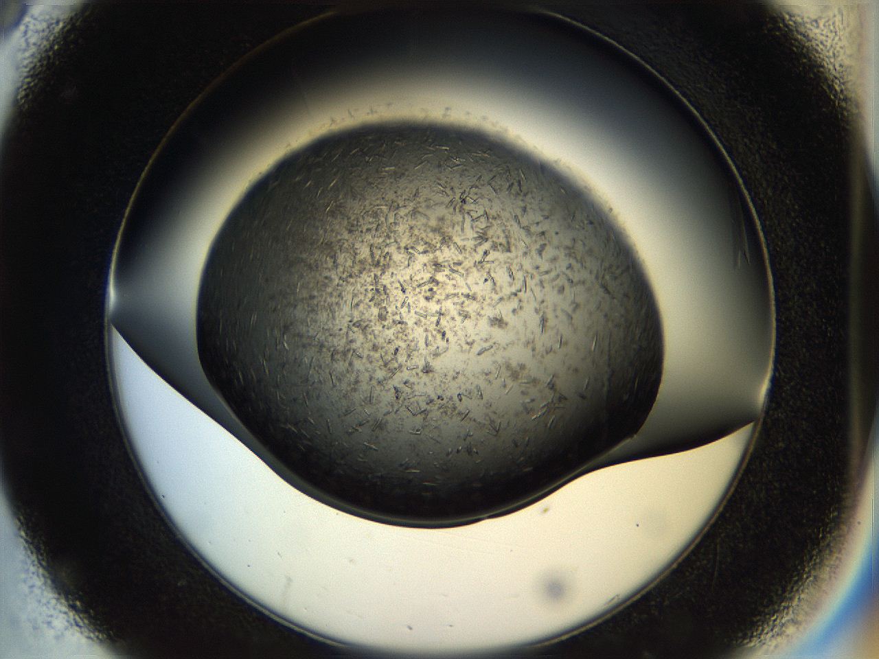 057b_C8_ImagerDefaults_7.jpg
