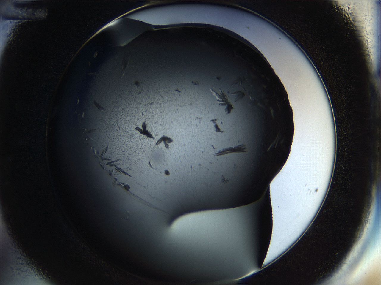 057b_C12_ImagerDefaults_9.jpg