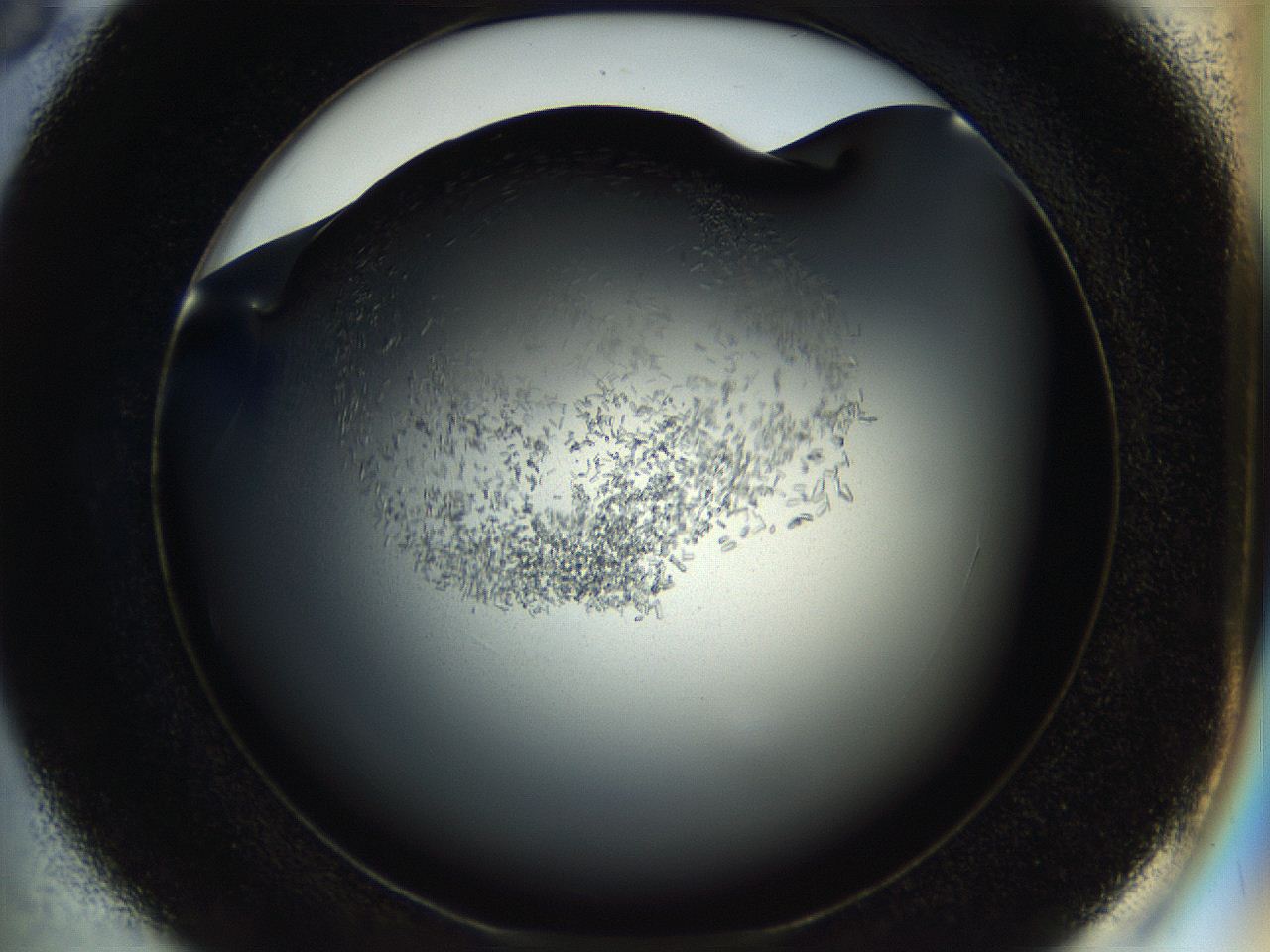 057b_D6_ImagerDefaults_7.jpg