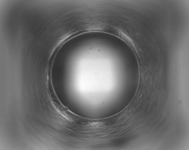 X0000055060059200508161656.png