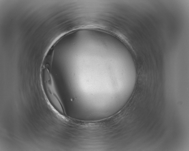 X0000055211476200508301309.png
