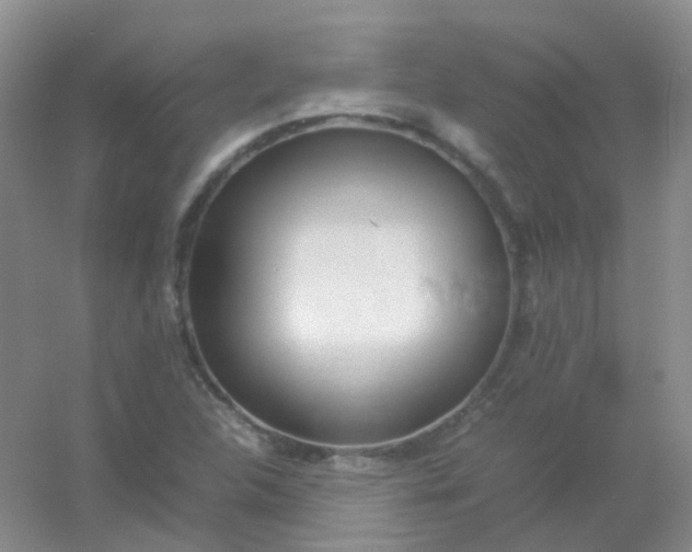 X0000054331312200508111908.png