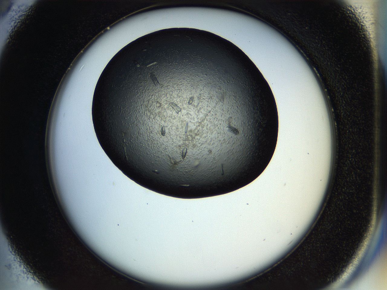 057n_C5_ImagerDefaults_9.jpg