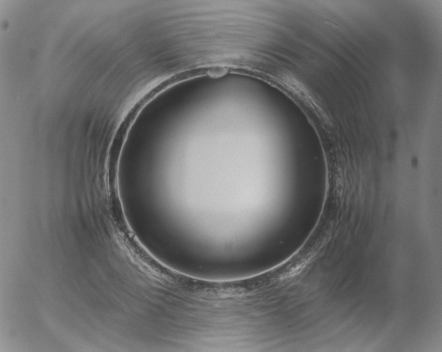X0000054650884200508091639.png