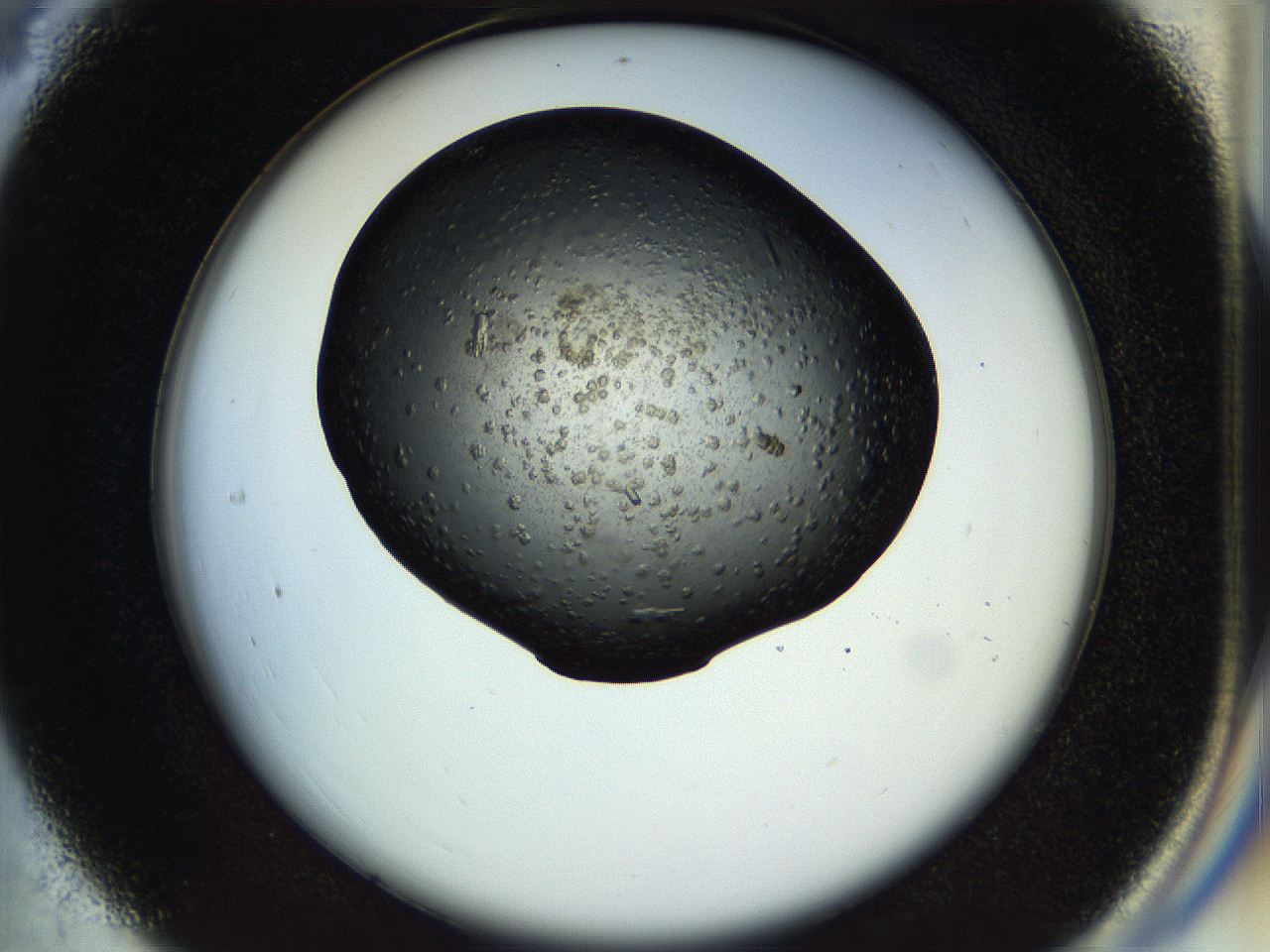 057n_C4_ImagerDefaults_7.jpg