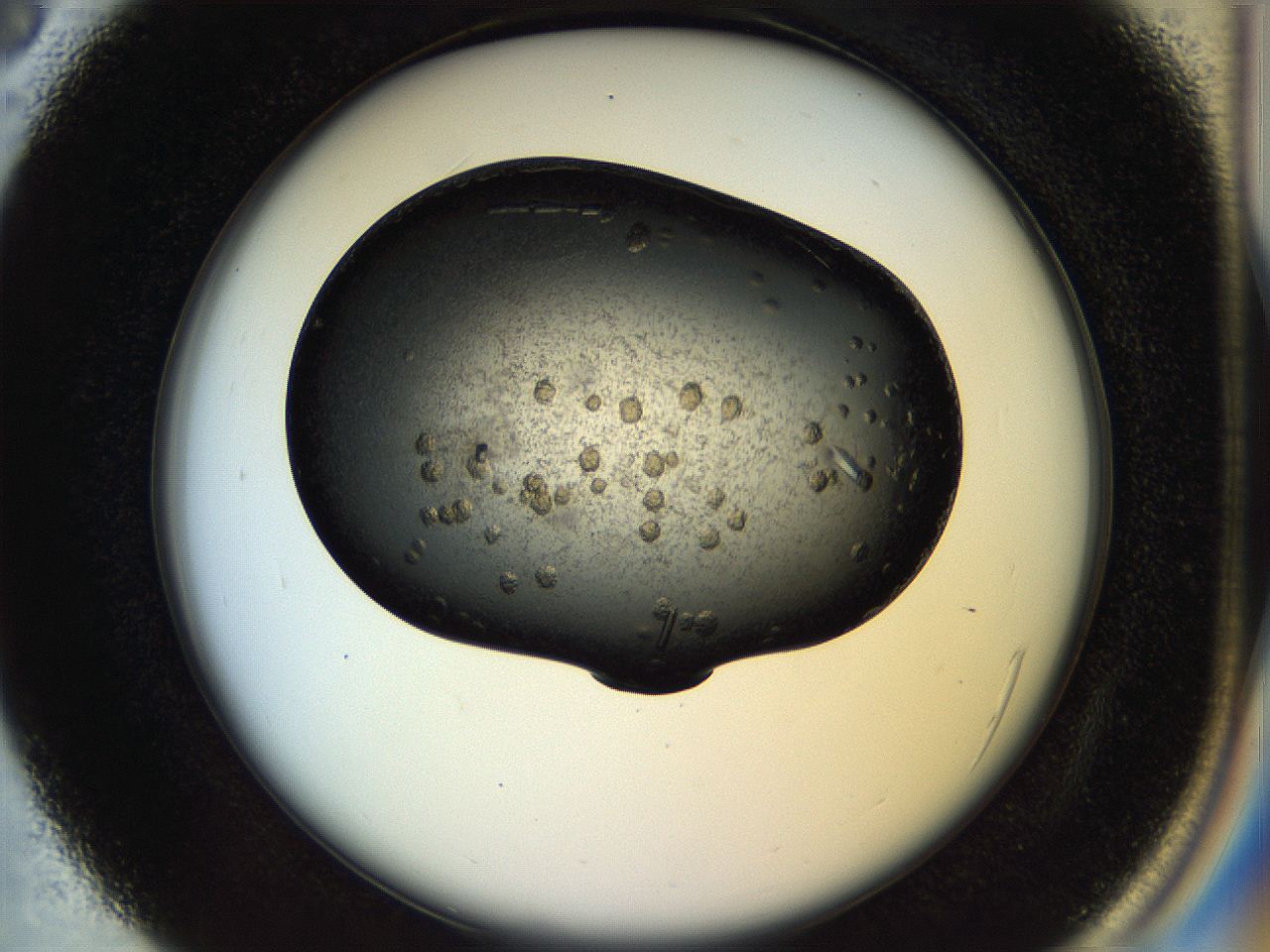057n_C3_ImagerDefaults_9.jpg