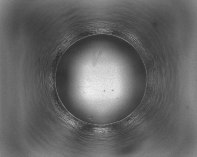 X0000055060457200508161650.png