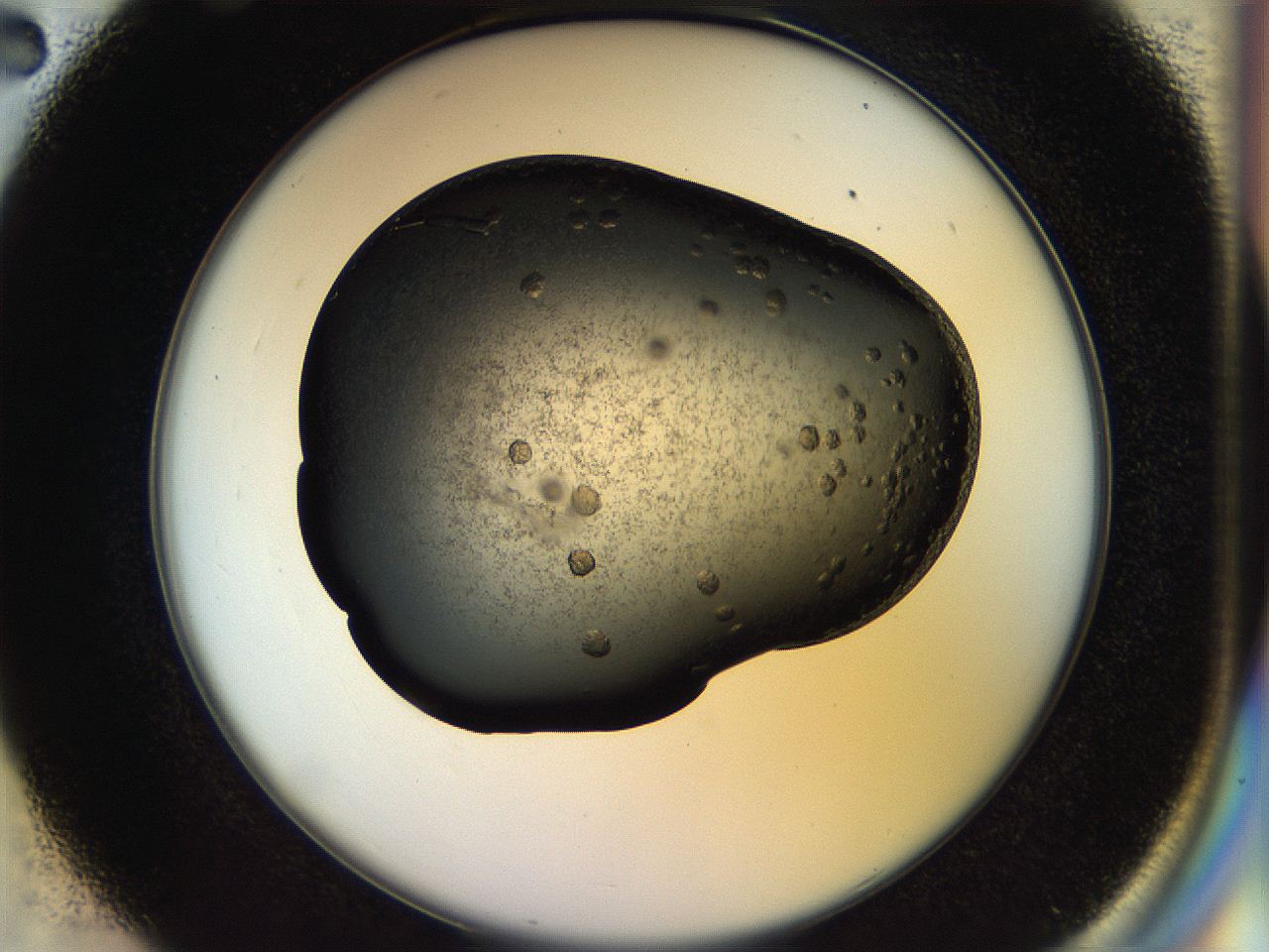057n_C2_ImagerDefaults_7.jpg
