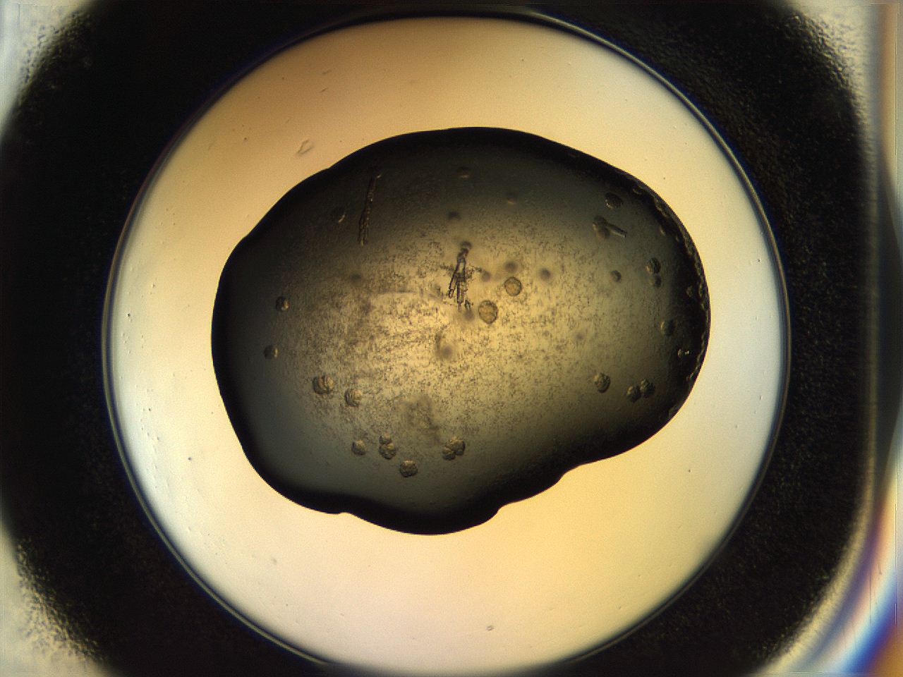 057n_C1_ImagerDefaults_7.jpg