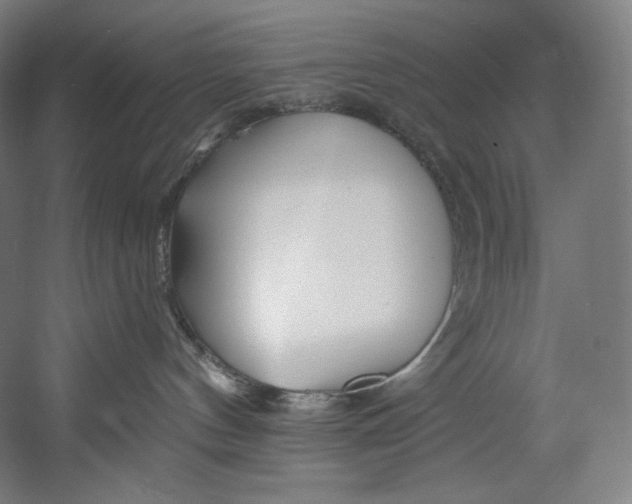 X0000055210144200508301331.png