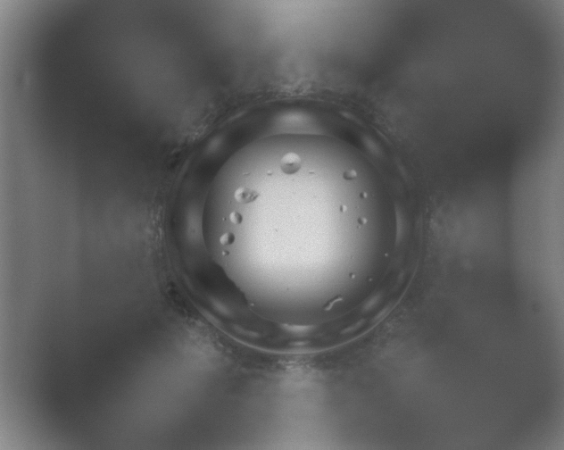 X0000054110601200508022101.png