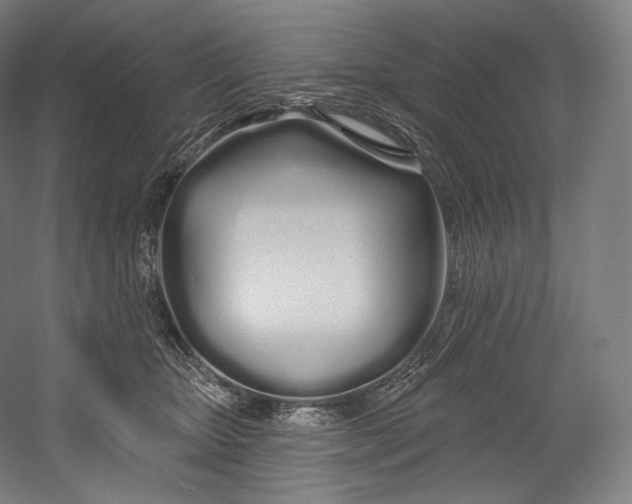 X0000055210467200508301326.png