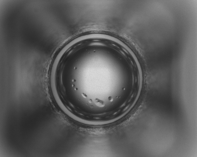 X0000045451129200502011650.png