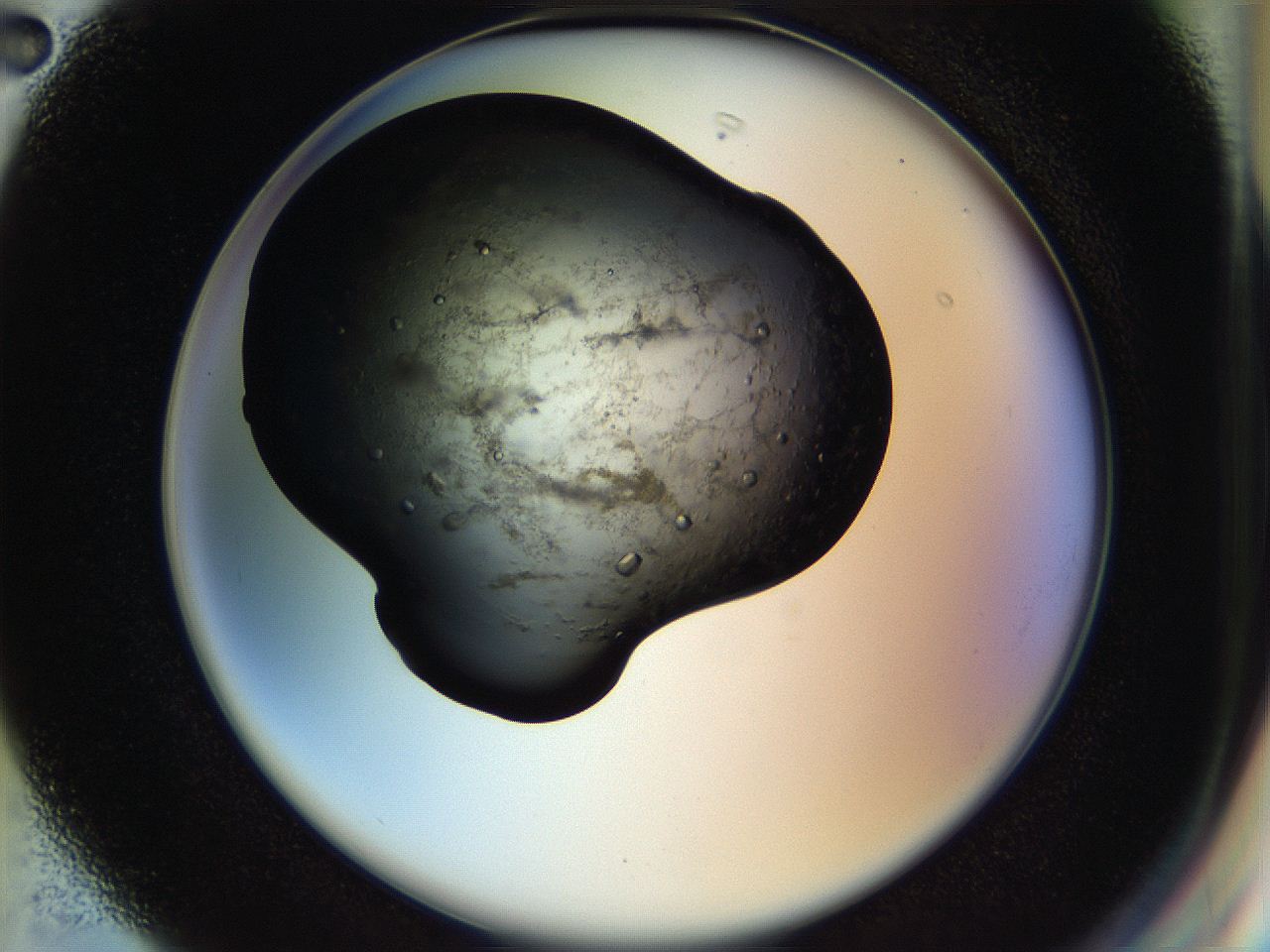 057n_G2_ImagerDefaults_9.jpg