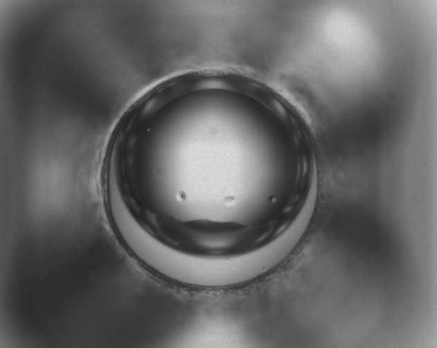 X0000045450959200502011653.png