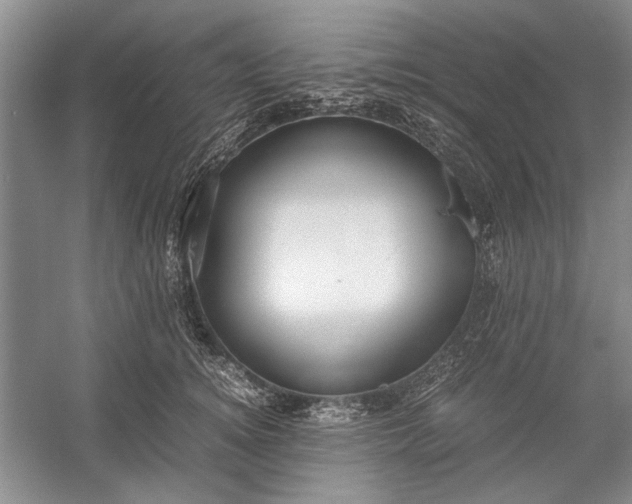 X0000055060756200508161645.png