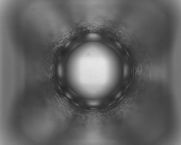 X0000040731012200410201645.png