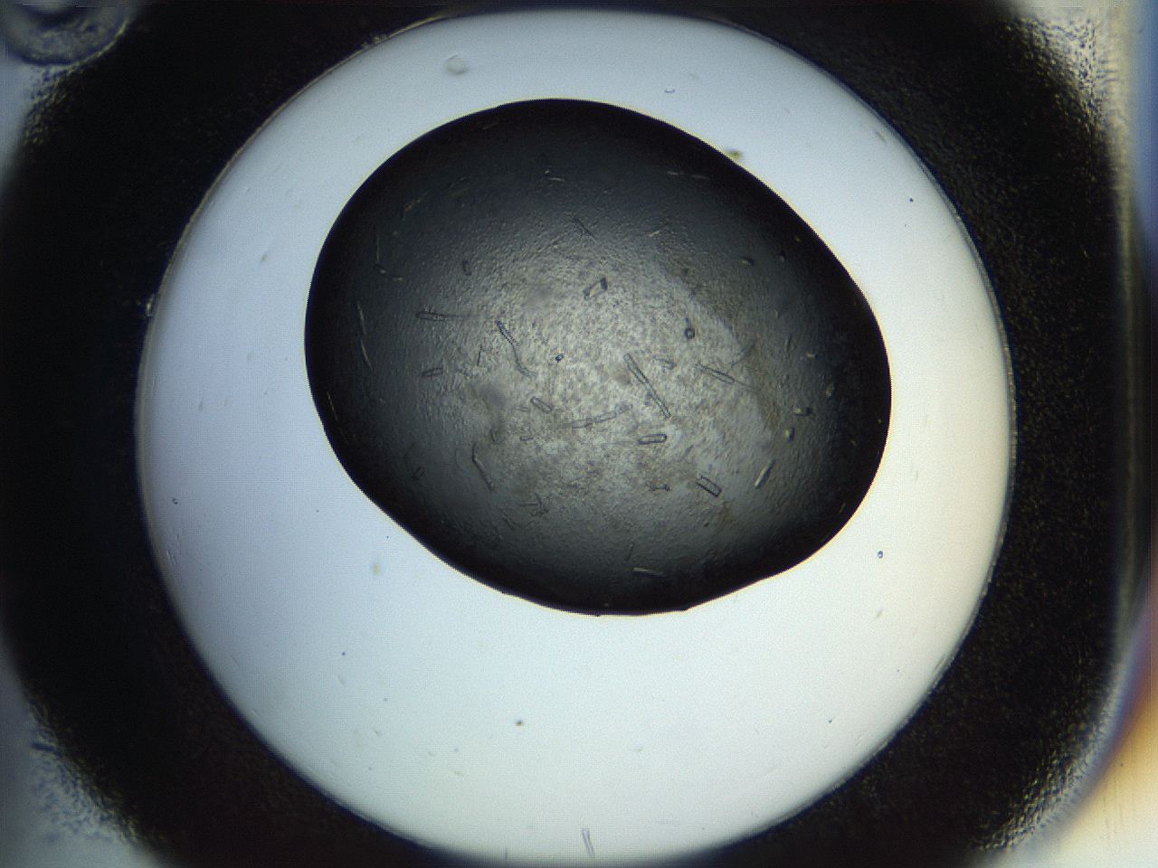 057n_C10_ImagerDefaults_9.jpg