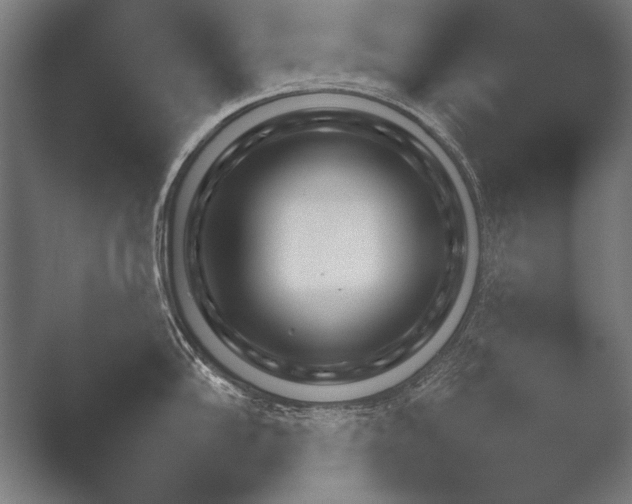 X0000051111102200507141750.png