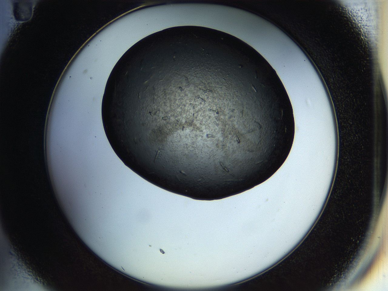 057n_C11_ImagerDefaults_9.jpg