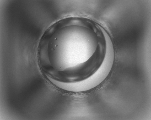 X0000052451146200507211307.png