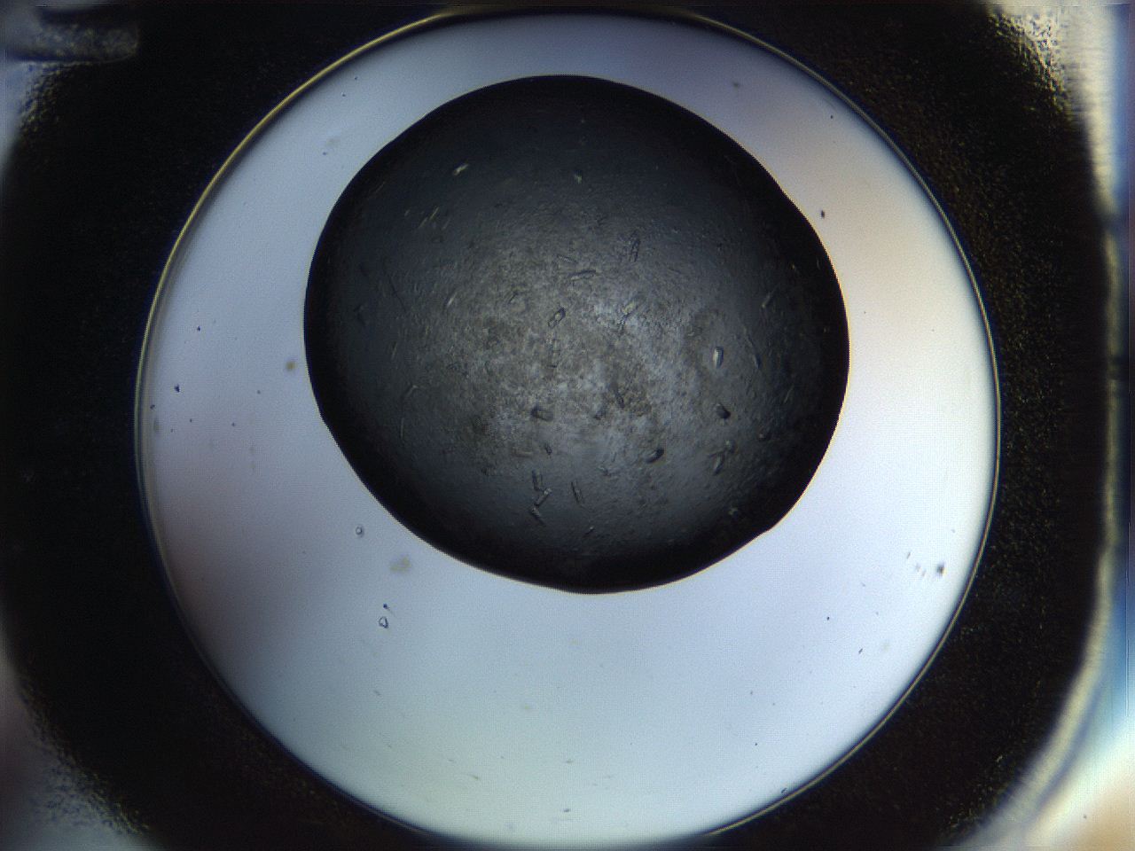 057n_C12_ImagerDefaults_7.jpg