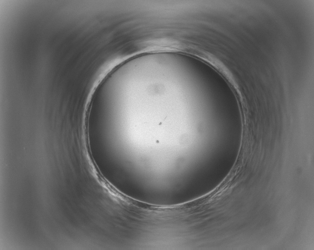 X0000055061488200508161632.png