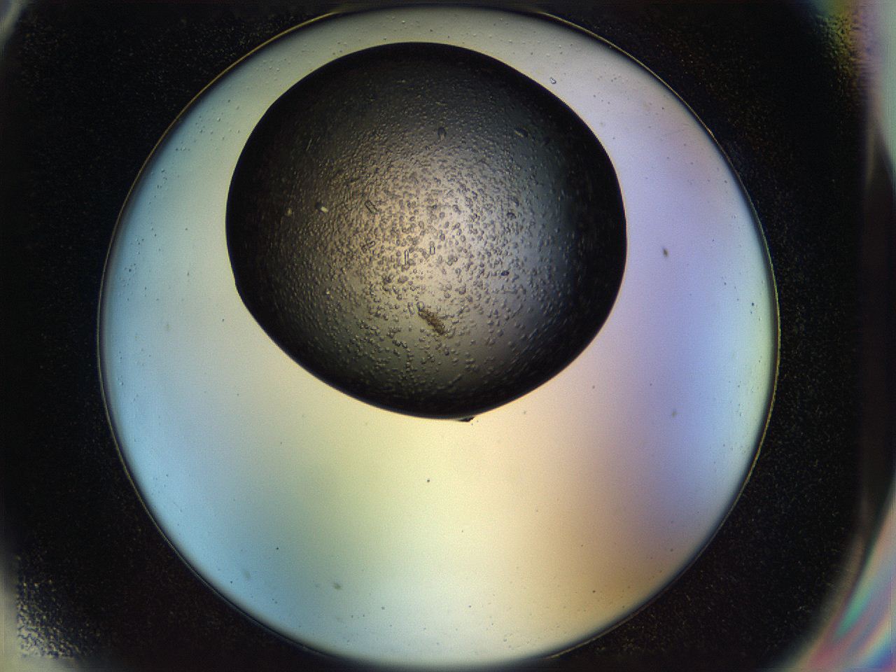 057n_G9_ImagerDefaults_7.jpg