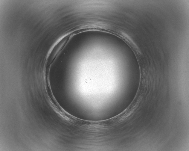 X0000054330788200508111918.png