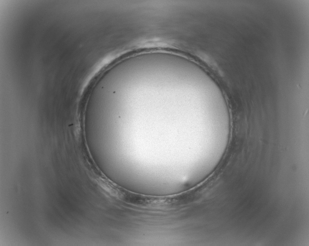 X0000054331167200508111911.png