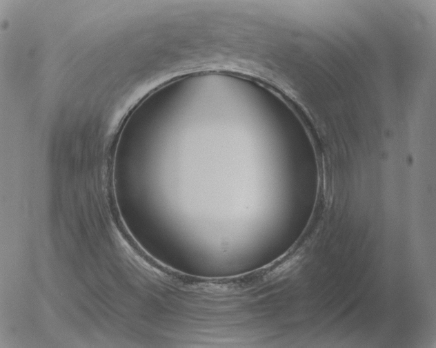 X0000054651500200508091628.png