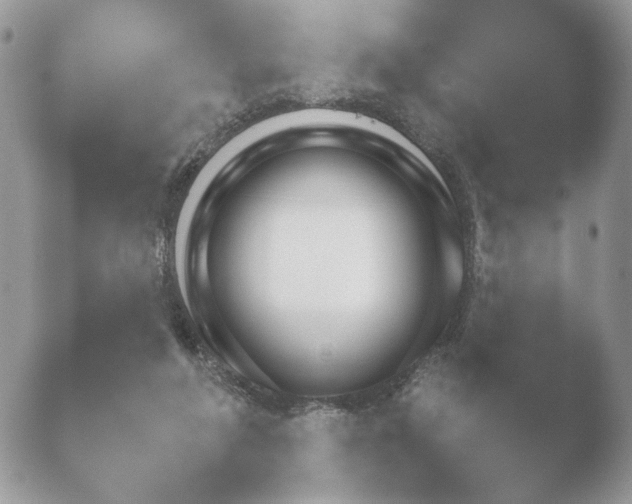 X0000052120210200507262100.png