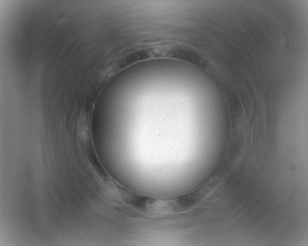 X0000054330129200508111929.png