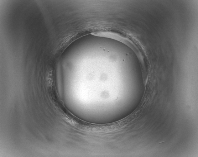 X0000055060017200508161657.png