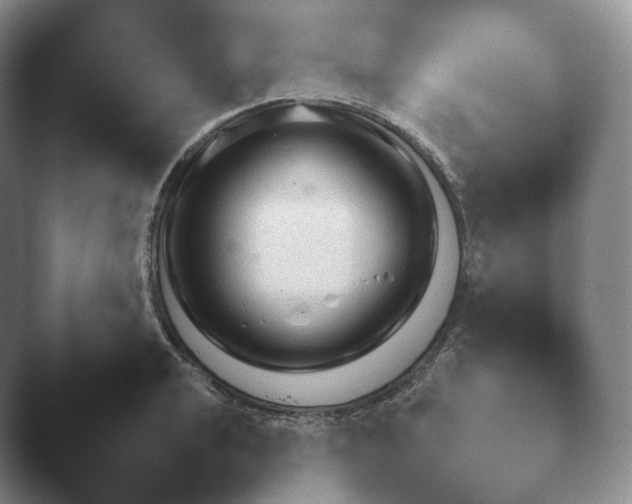 X0000045451040200502011651.png